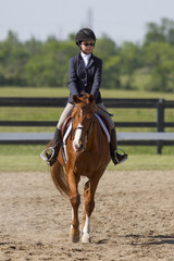 Rider on a chestnut horse