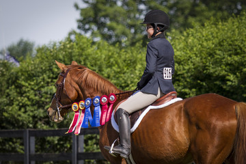 Proud Rider on horse