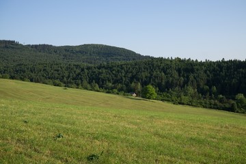 Fototapeta na wymiar Green meadow with trees and views to mountains. Slovakia