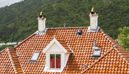 Traditional Norwegian house roof. Bergen, Norway.