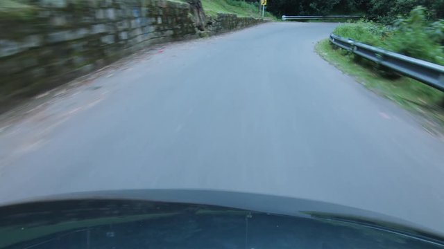 Forest, Road, Winding, Car,