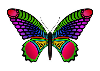 Colorful butterfly