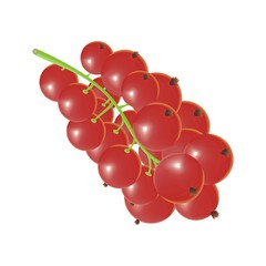 currants