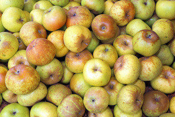 green organic apples for sale at fruit market