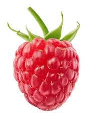Poster Isolated berry. One single fresh raspberry fruit isolated on white background with clipping path © artemkutsenko