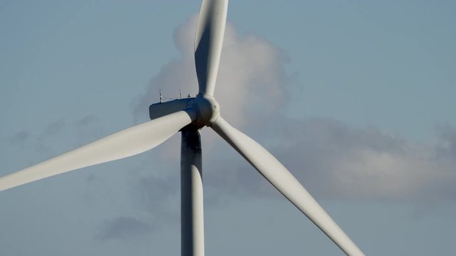 A close-up videoshot of a wildmill