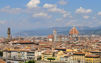 Fototapeta na wymiar Vista de la ciudad de Florencia, rio Arno