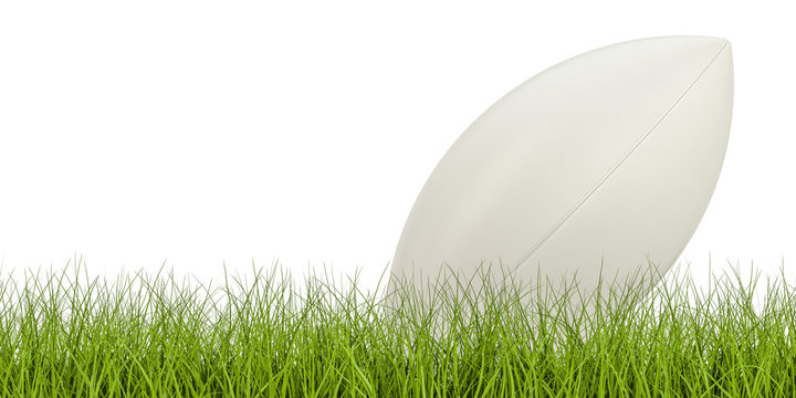 Rugby ball concept on the grass, 3D rendering