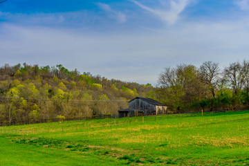 Barn - Williamson County, TN