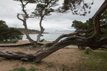 Ibiza hiking during the Low Season