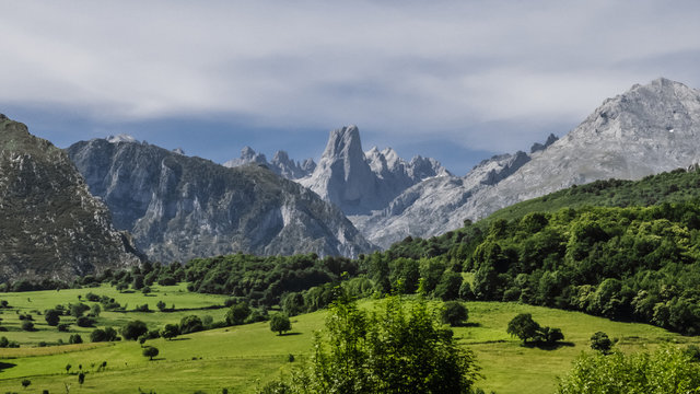 Panoramic view of the peaks of Europe, Asturias, Spain, with a valley with green meadows and high mountains in the background. View of the Naranjo de Bulnes or Pico Urriellu