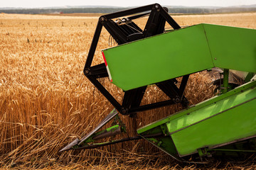 Combine harvester agriculture machine harvesting golden ripe wheat field