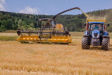Combines harvesting grains and filling tractor trailer in summer on field