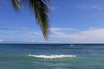 ハワイ＜波路遥か＞