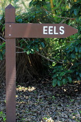 Eel Sign Post