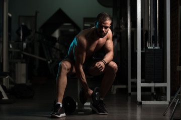 Obraz na płótnie Canvas Model With Dumbbells Exercising Biceps