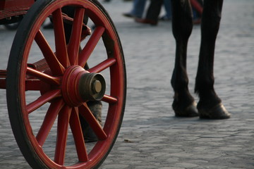 Ruota carrozzella di Roma