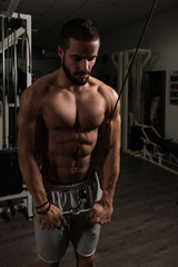 Fototapeta na wymiar Young Model Exercising Triceps In The Gym