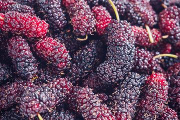 fresh mulberry closeup background