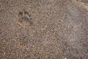Footprint in the sand