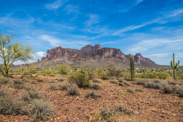 Supertition Mountain