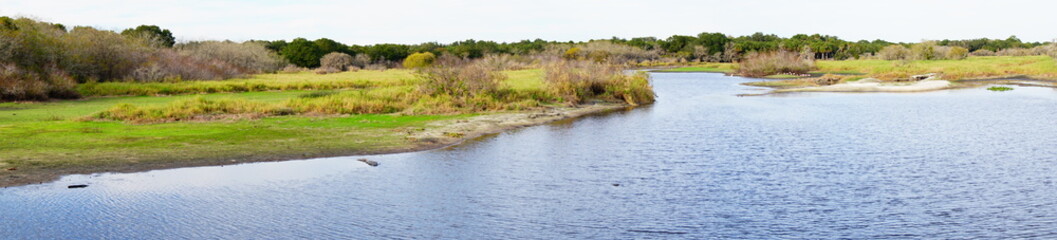 Fototapeta na wymiar Florida Swamp Landscape