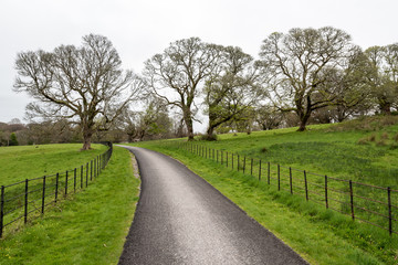 Road to Muckross Abbey