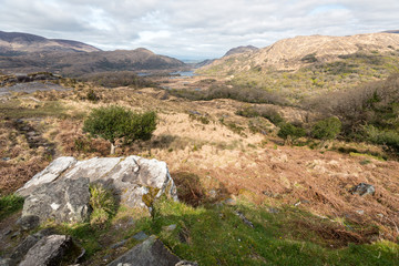 Ladies View in Killarney National Park