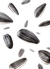 sunflower seeds isolated white background