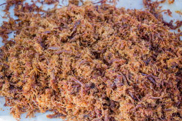 Shredded Beef in the plate