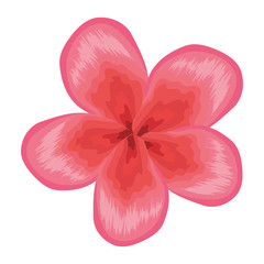 tropical flower decorative icon vector illustration design