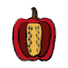 pepper vegetable icon