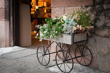 Fototapeta na wymiar Flowers in box, mounted on iron wheels, staying as decoration of shop entrance