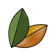 leaves icon image