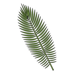 tropical leafs decorative icon vector illustration design