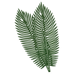 tropical leafs decorative icon vector illustration design