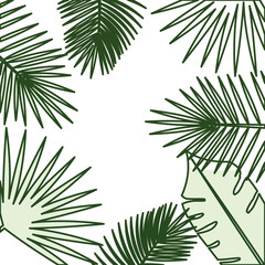 tropical leafs pattern background vector illustration design