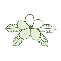 tropical flower decorative icon vector illustration design
