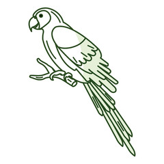 exotic parrot in branch tropical bird vector illustration design