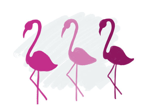 Colorful drawn bright flamingos for greeting card or advertisement with blue chalk background, isolated cartoon illustration painted by chalk and watercolor on white background, high quality
