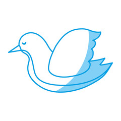 dove bird icon