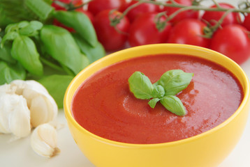 Vegetable tomato soup and ingredients for cooking - tomatoes, garlic and basil herbs. Close up view.