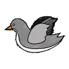 dove icon image