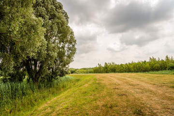 Fototapeta na wymiar Curved embankment in a rural landscape