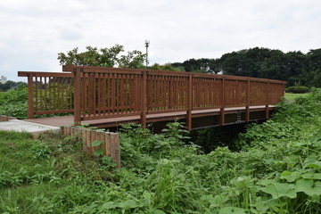 Obraz premium 公園の小川を渡る橋