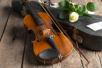 Fototapeta na wymiar Beautiful violin