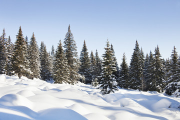 Obraz na płótnie Canvas Mountain range Zuratkul, winter landscape. Snowdrifts near forest