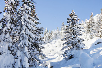 Mountain range Zuratkul, winter landscape. Snowdrifts near forest