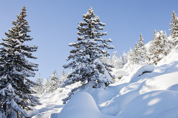 Fototapeta na wymiar Mountain range Zuratkul, winter landscape. Snowdrifts near forest