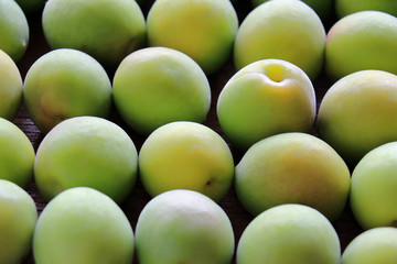 背景素材　梅の実